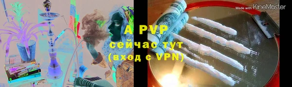 спиды Зеленокумск