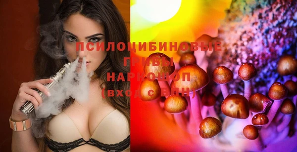 спиды Зеленокумск